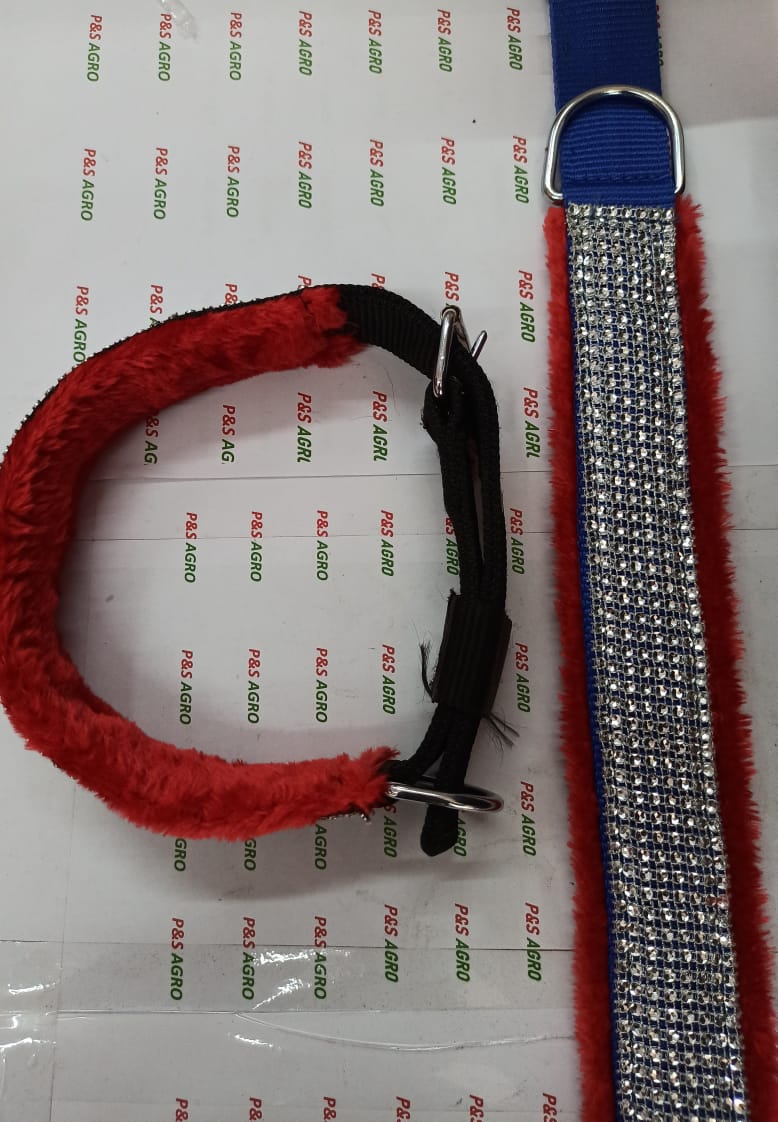 Diamond Belt